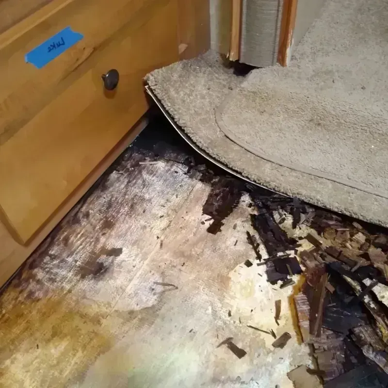 Best Wood Floor Water Damage Service in Lauderdale Lakes, FL